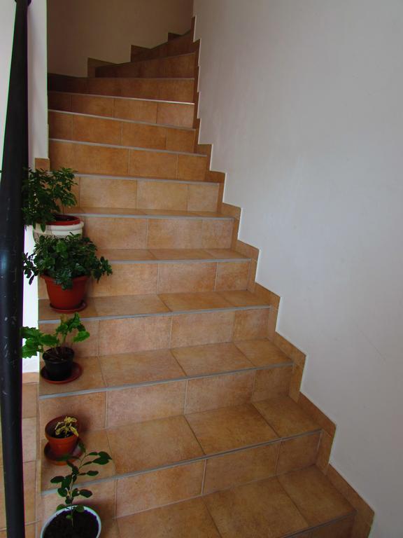 Tanja Apartment